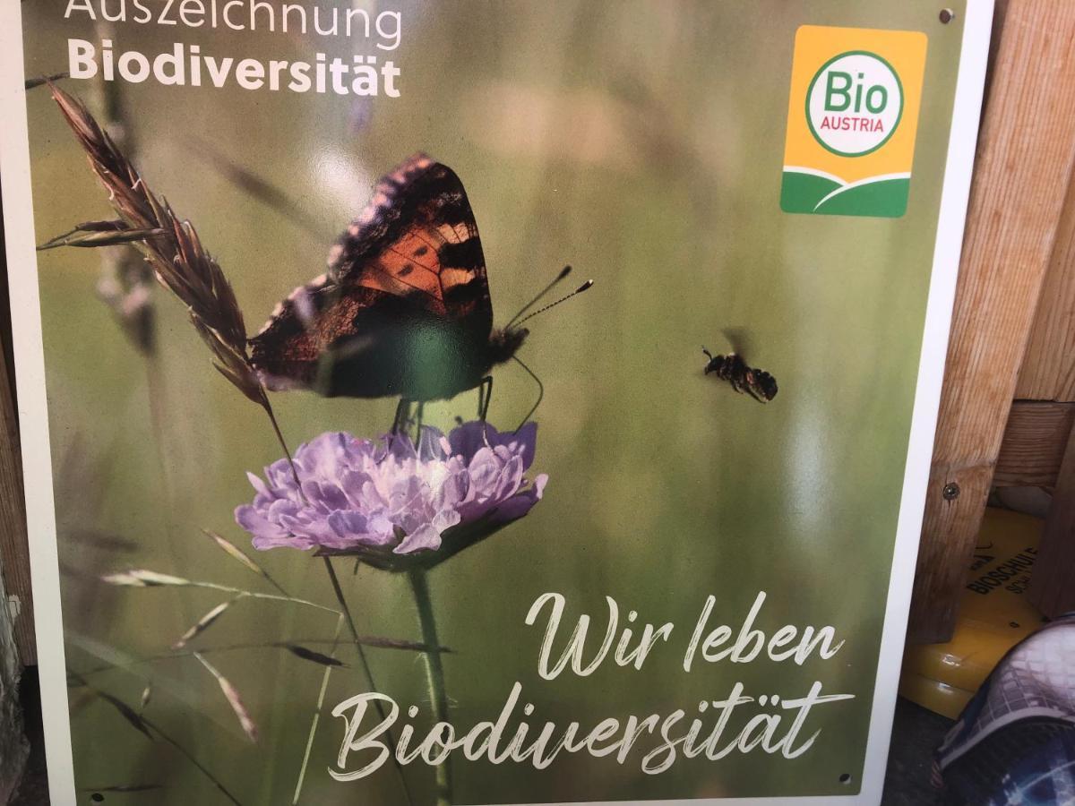 Appartamento Biohof Sauschneider Sankt Margarethen im Lungau Esterno foto