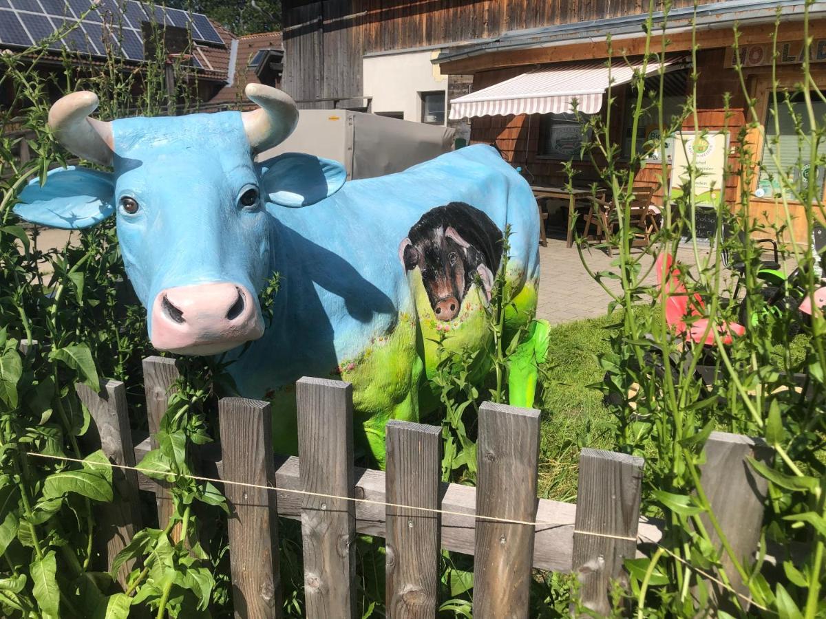 Appartamento Biohof Sauschneider Sankt Margarethen im Lungau Esterno foto