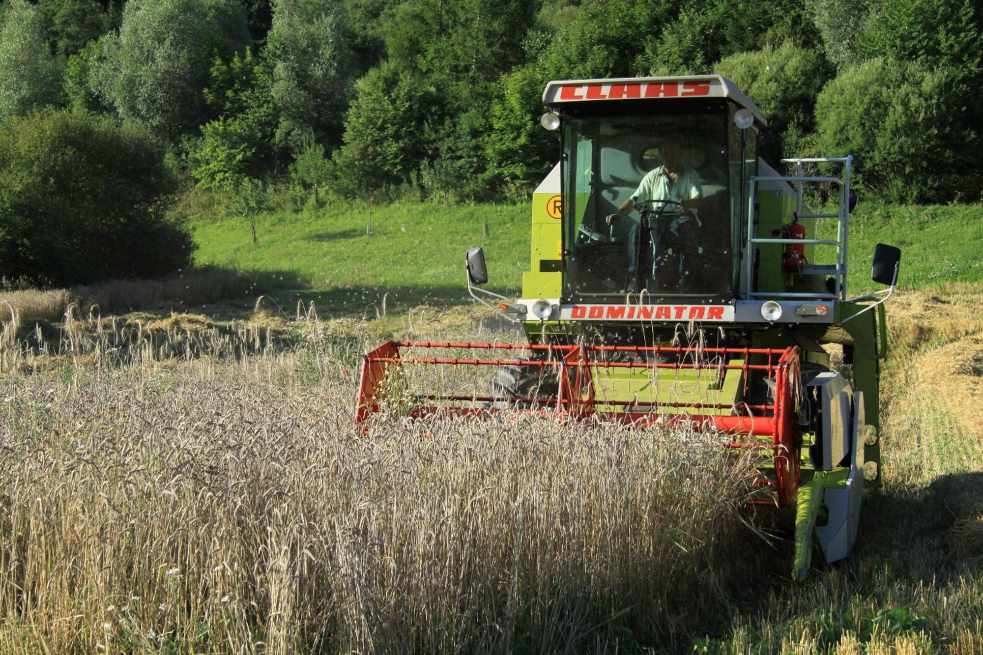 Appartamento Biohof Sauschneider Sankt Margarethen im Lungau Esterno foto