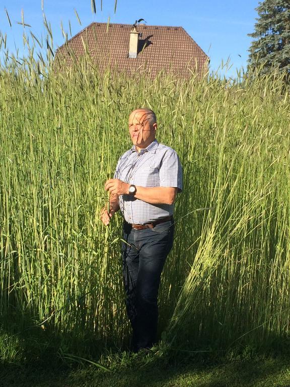 Appartamento Biohof Sauschneider Sankt Margarethen im Lungau Esterno foto