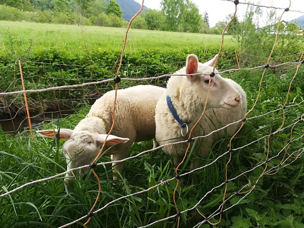 Appartamento Biohof Sauschneider Sankt Margarethen im Lungau Esterno foto
